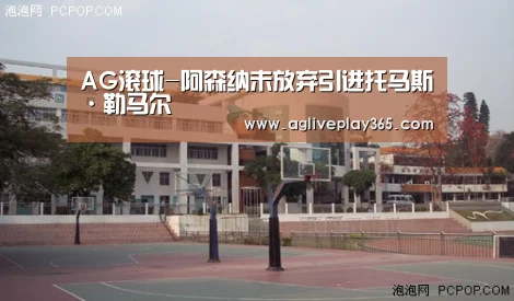 AG滚球-阿森纳未放弃引进托马斯·勒马尔(图1) AG滚球