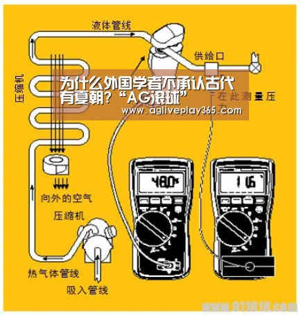 为什么外国学者不承认古代有夏朝?“AG滚球”(图2) AG直播