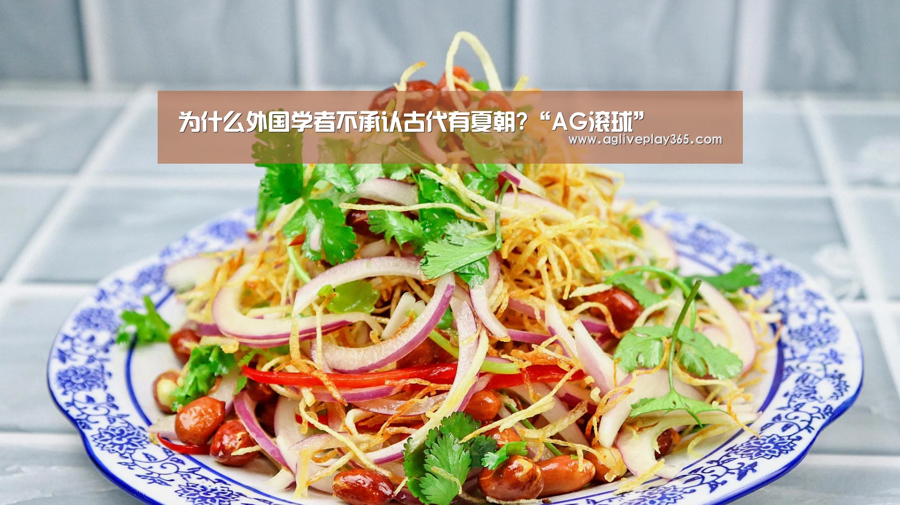 为什么外国学者不承认古代有夏朝?“AG滚球”(图3) AG滚球