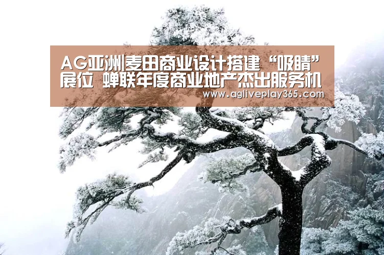 AG亚洲|麦田商业设计搭建“吸睛”展位 蝉联年度商业地产杰出服务机构奖项(图3) AG滚球