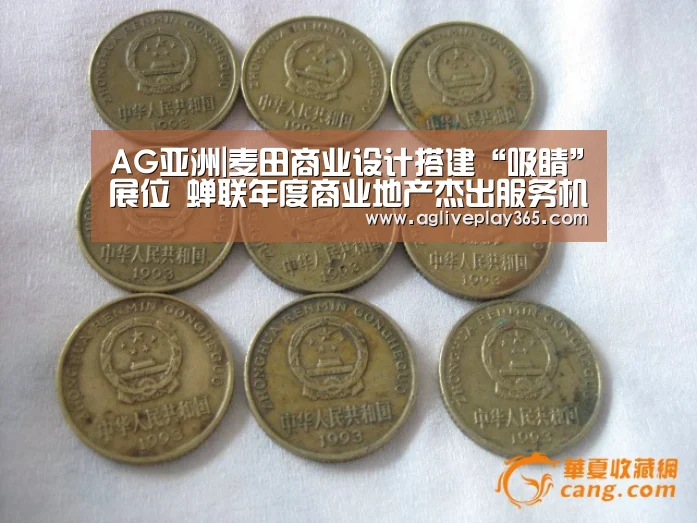 AG亚洲|麦田商业设计搭建“吸睛”展位 蝉联年度商业地产杰出服务机构奖项(图4) AG滚球