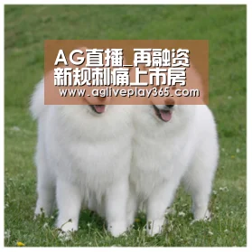 AG直播_再融资新规刺痛上市房企福星股份终止33亿定增预案(图3) AG滚球